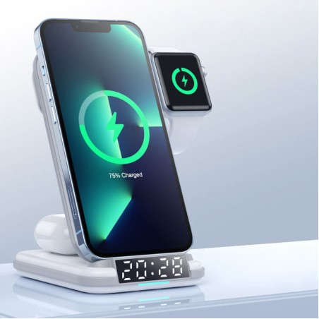 Multi-protection multi-function wireless charger